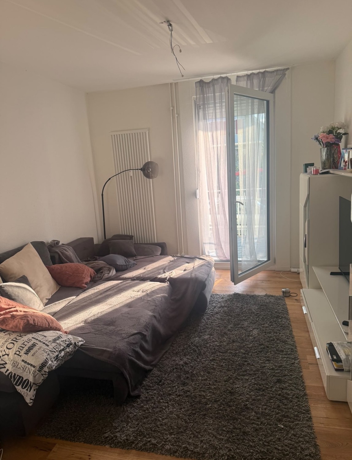 Appartamento di 2 ½ locali, foto 2 di 10