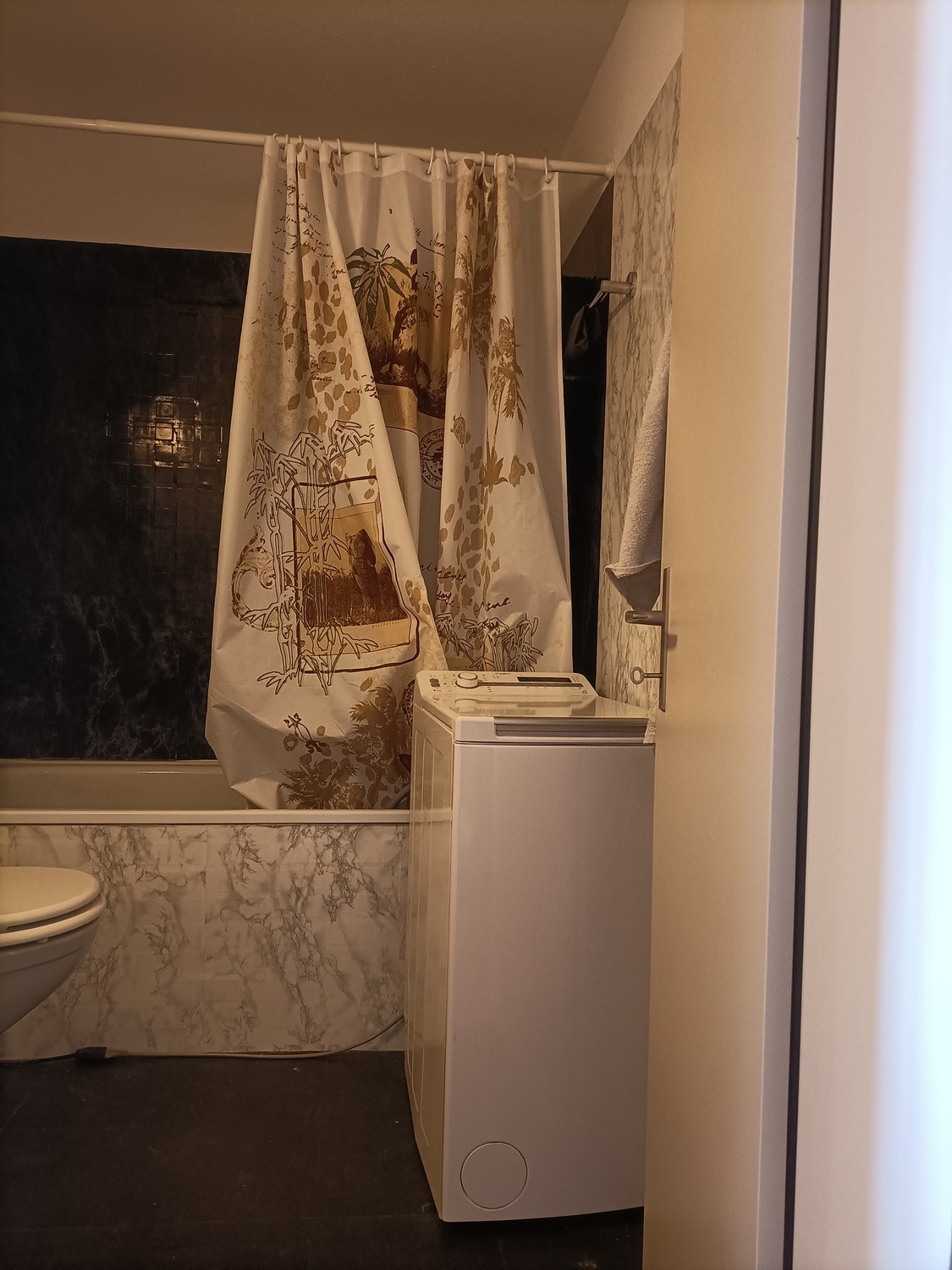 Appartamento di 2 ½ locali, foto 3 di 7