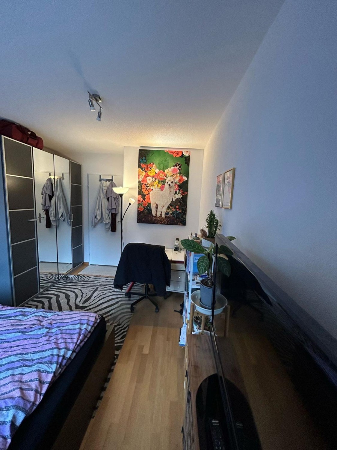 Appartamento di 4 ½ locali, foto 5 di 5