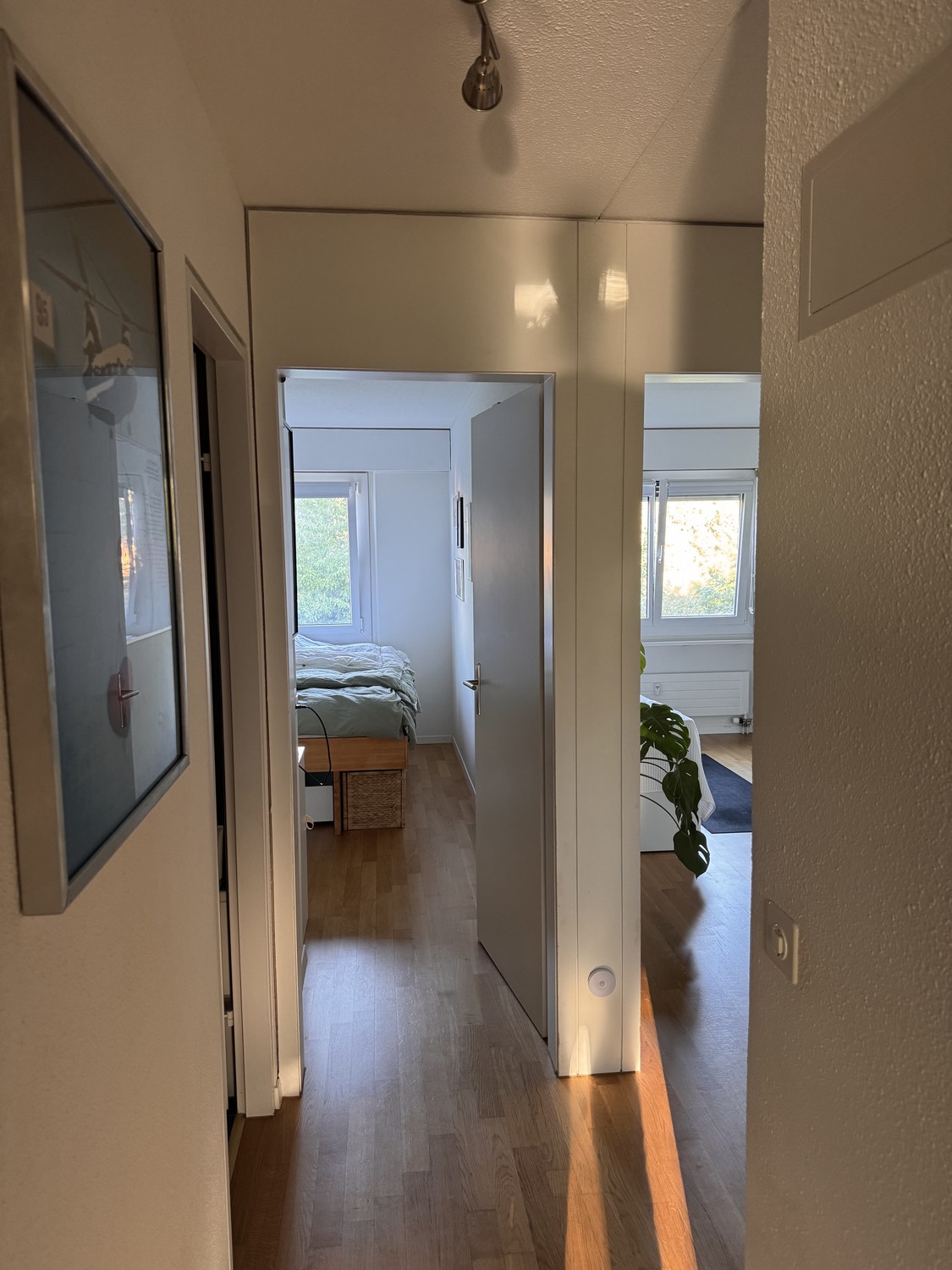 Appartamento di 2 ½ locali, foto 9 di 9