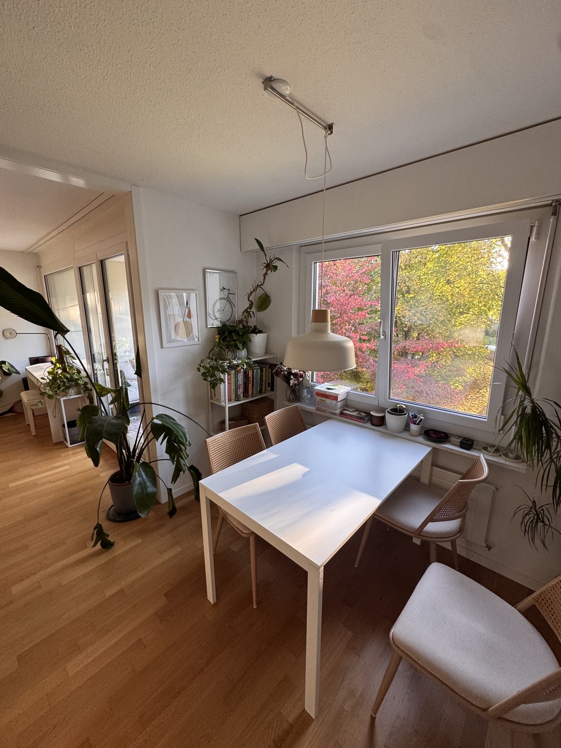 Appartamento di 2 ½ locali, foto 1 di 9