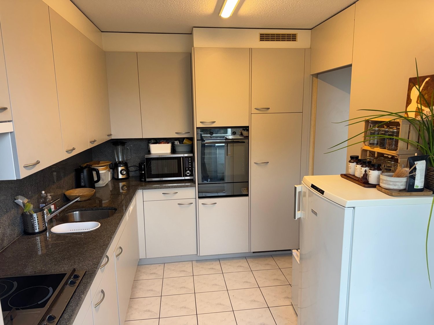 Appartamento arredato di 3 ½ locali