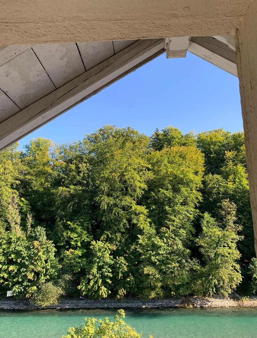 Stanza in un appartamento condiviso, foto 7 di 8