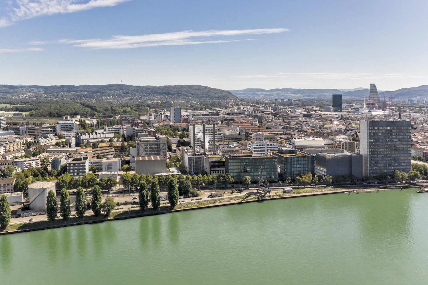 86m² commerciale