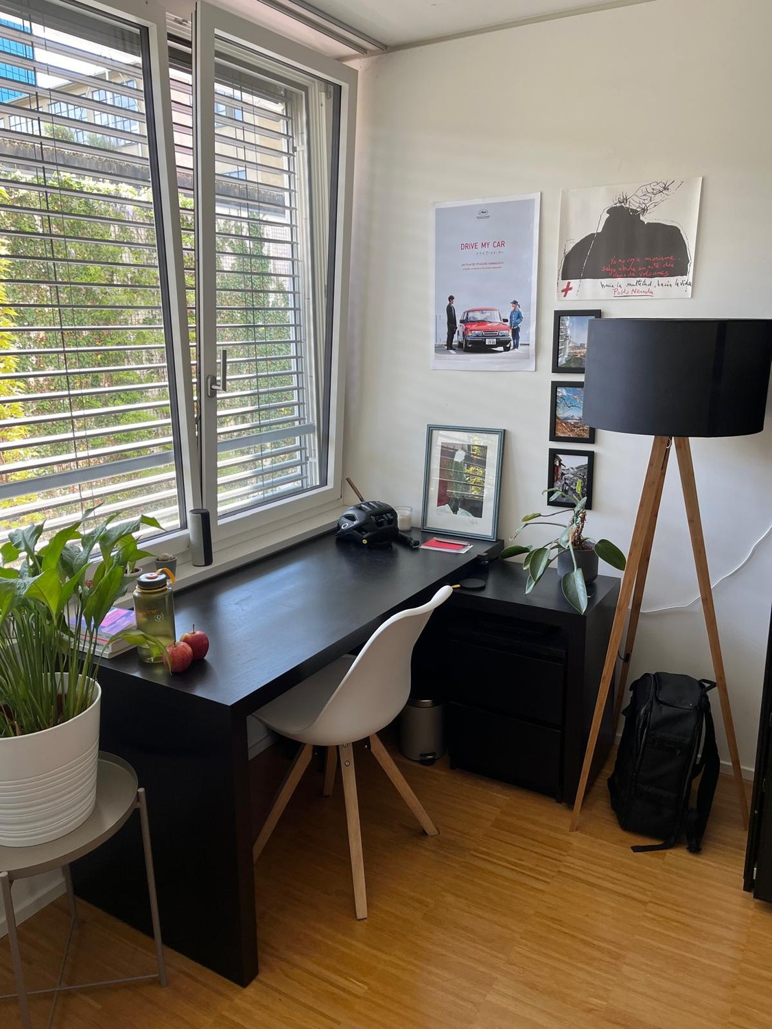 Room in a shared flat
