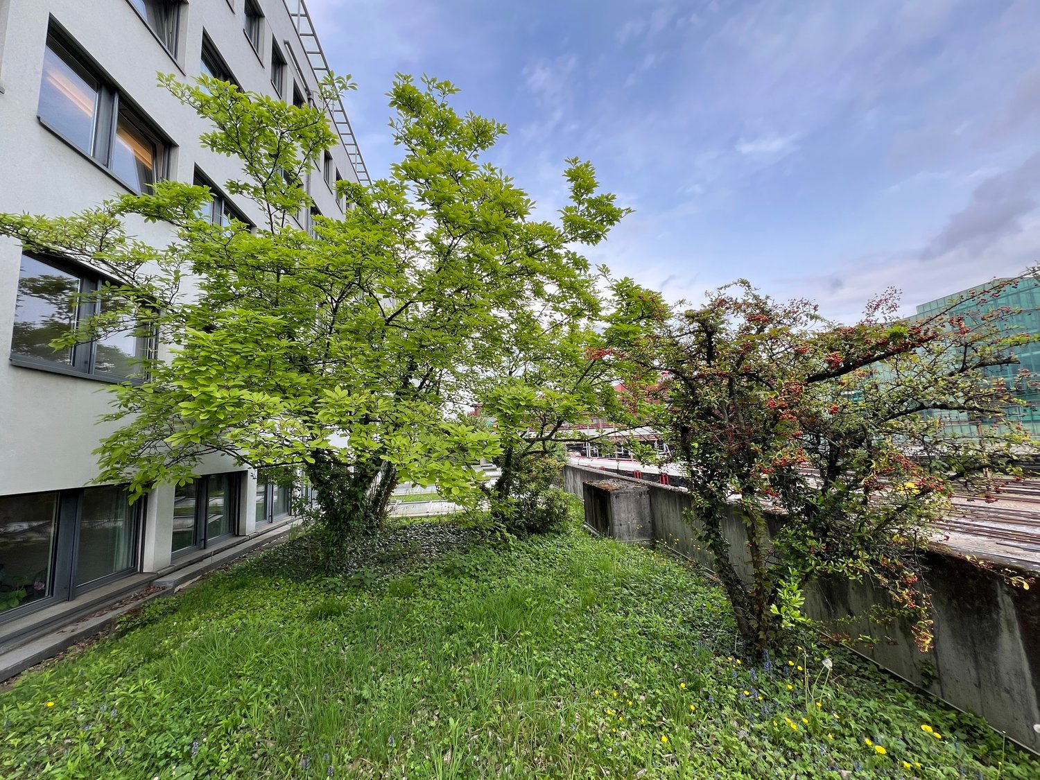 200m² grande magazzino