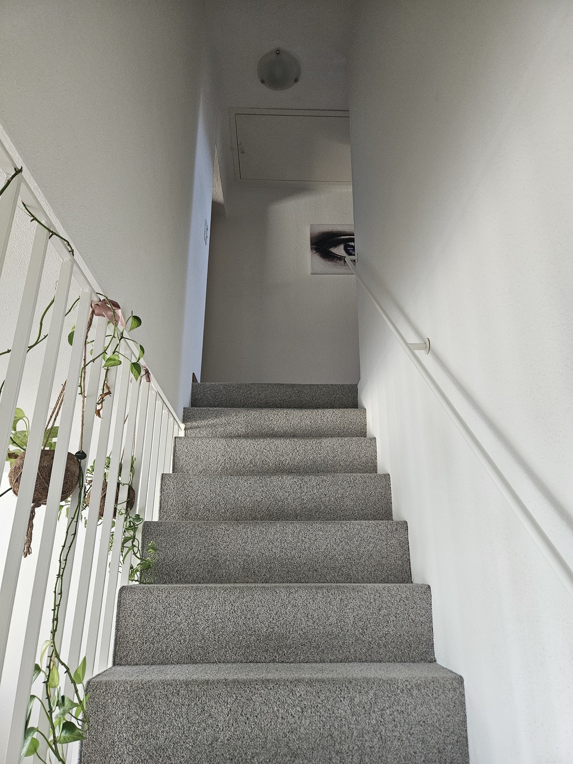 Appartamento di 3 ½ locali, foto 3 di 6
