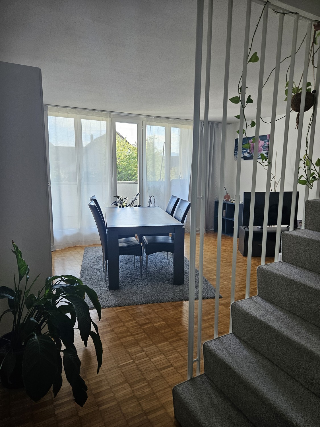 Appartamento di 3 ½ locali, foto 2 di 6