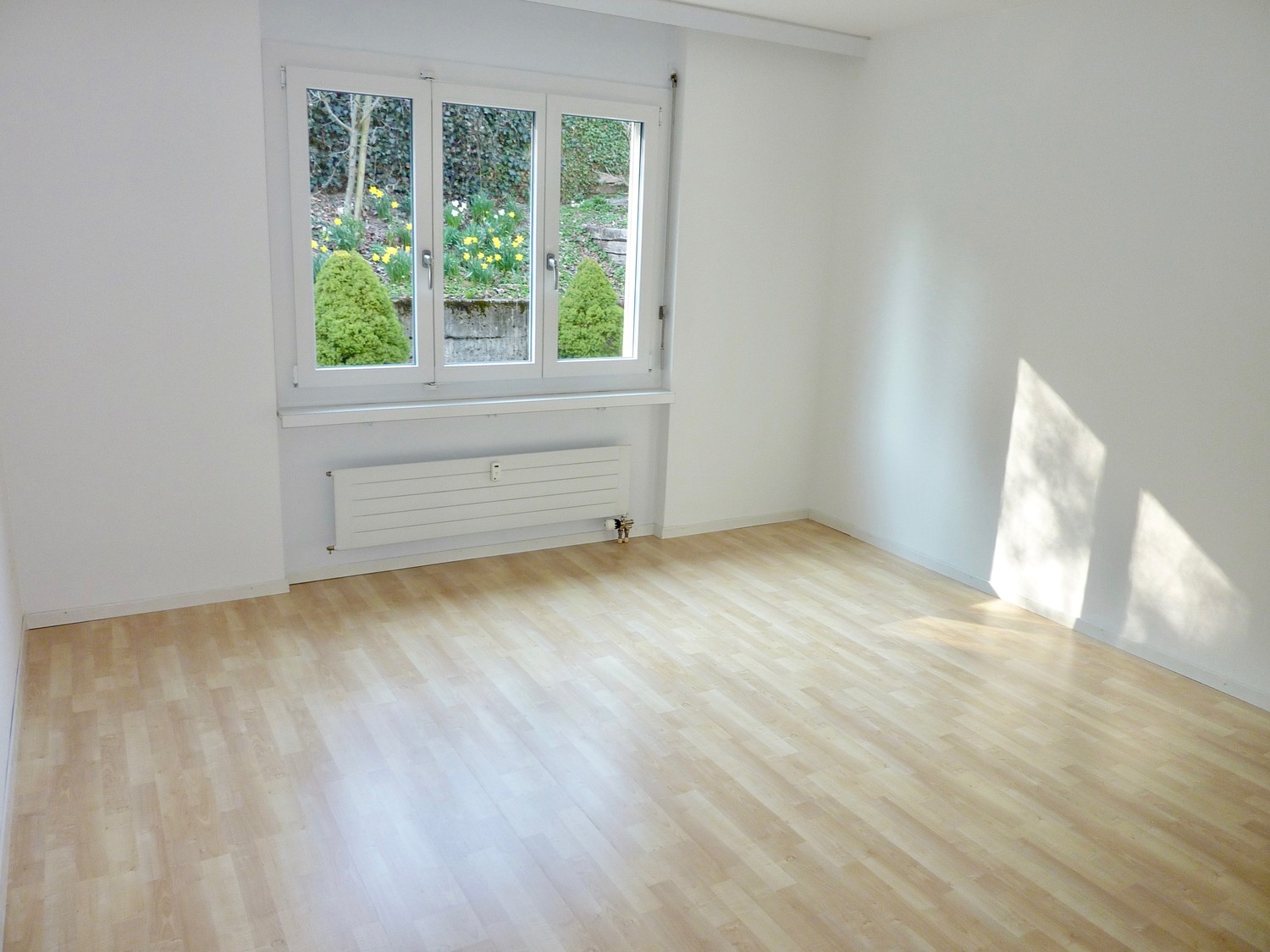 Appartamento di 2 ½ locali, foto 1 di 7