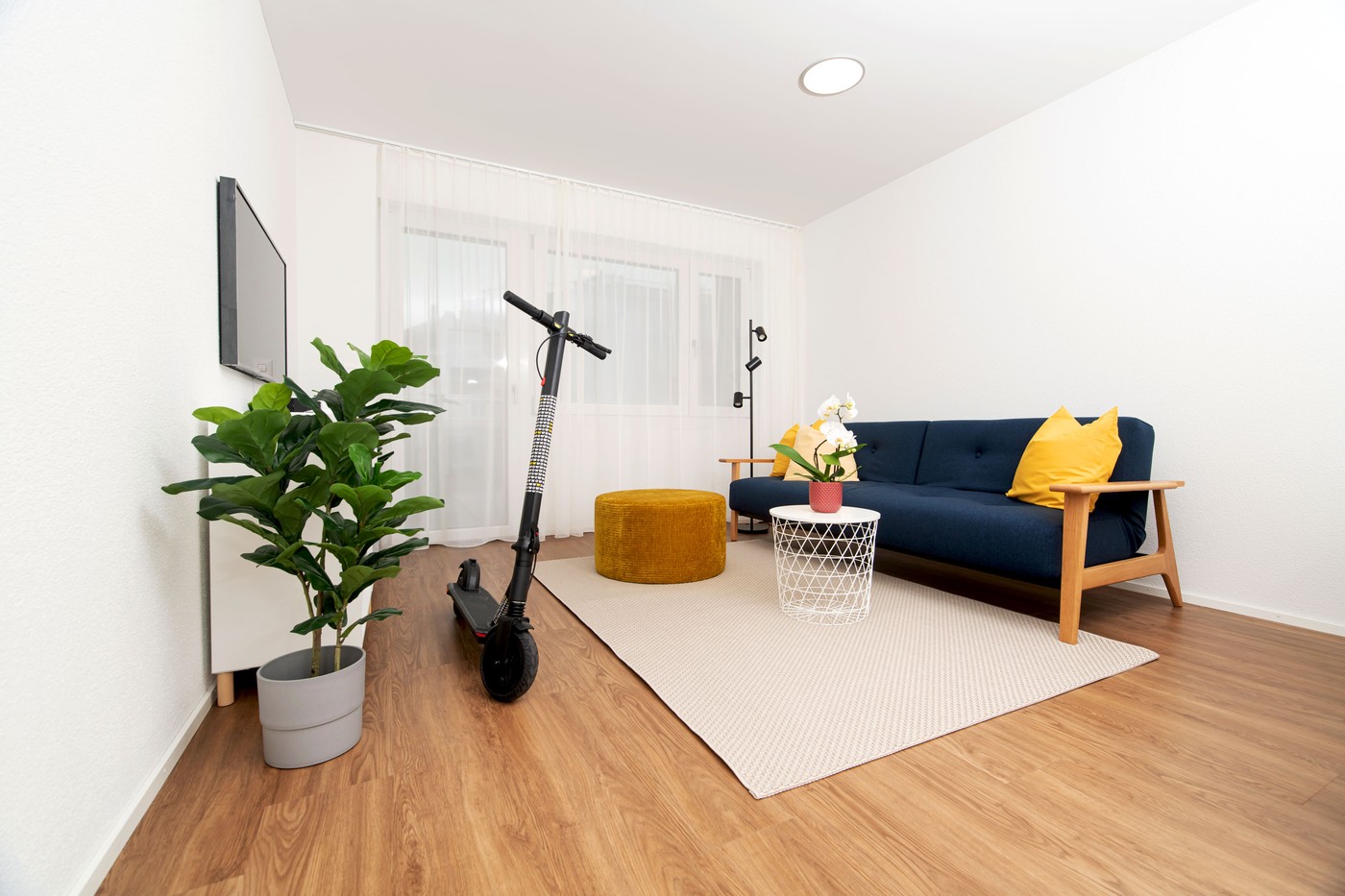 Appartamento arredato di 2 ½ locali, foto 5 di 5