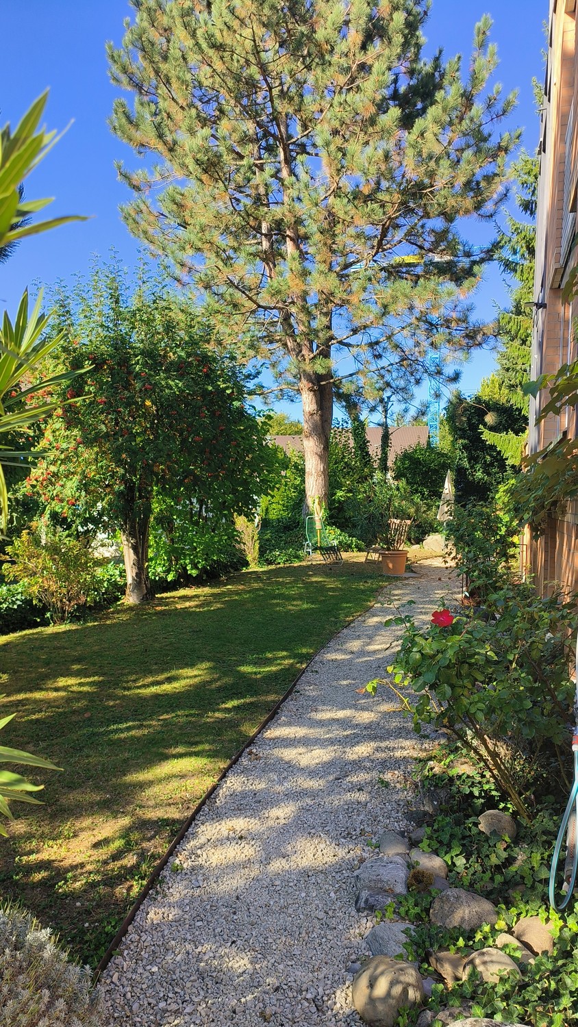 Appartamento di 2 ½ locali, foto 9 di 9