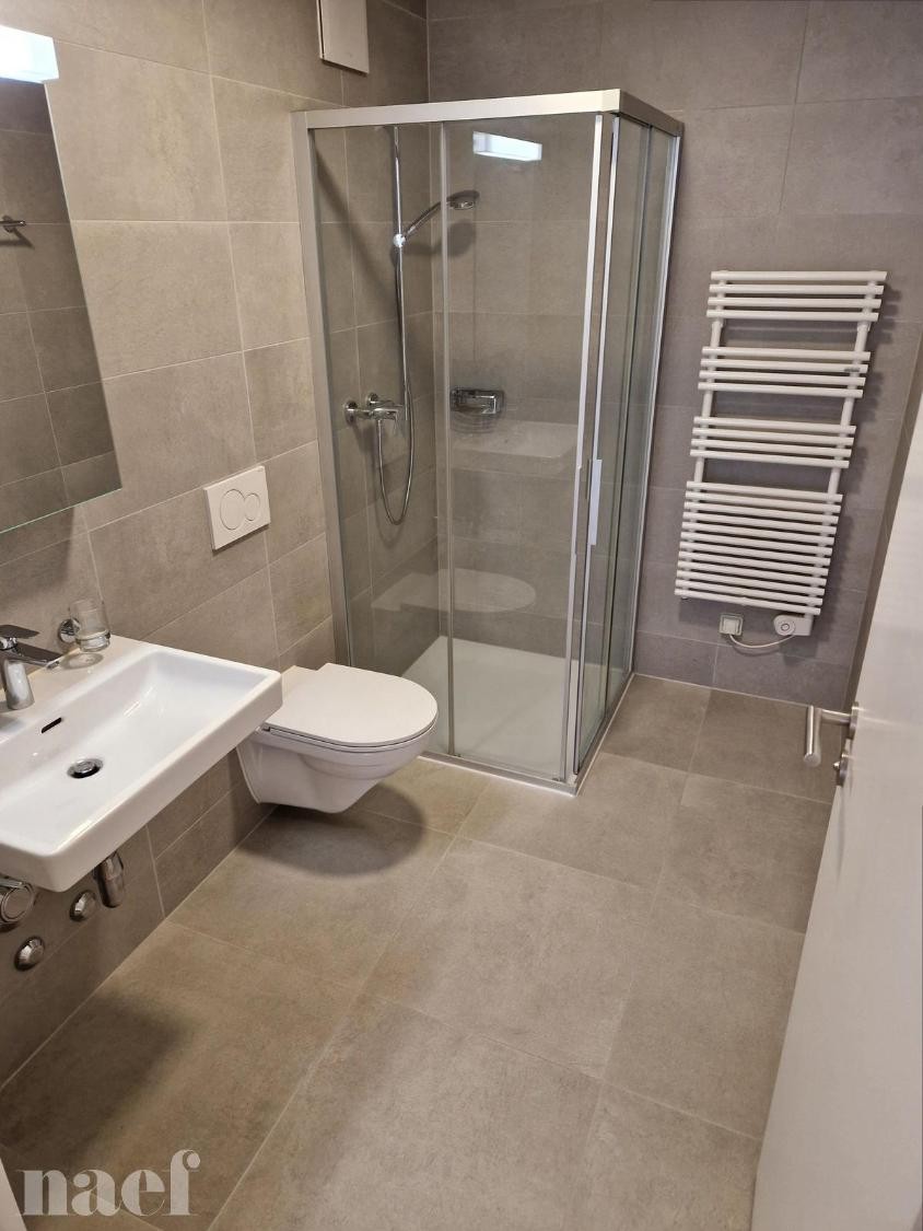 Appartamento di 1 ½ locali, foto 3 di 3