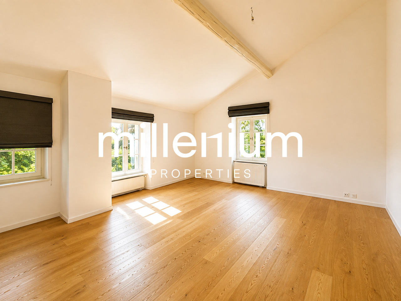 villa di 12 locali, foto 10 di 10