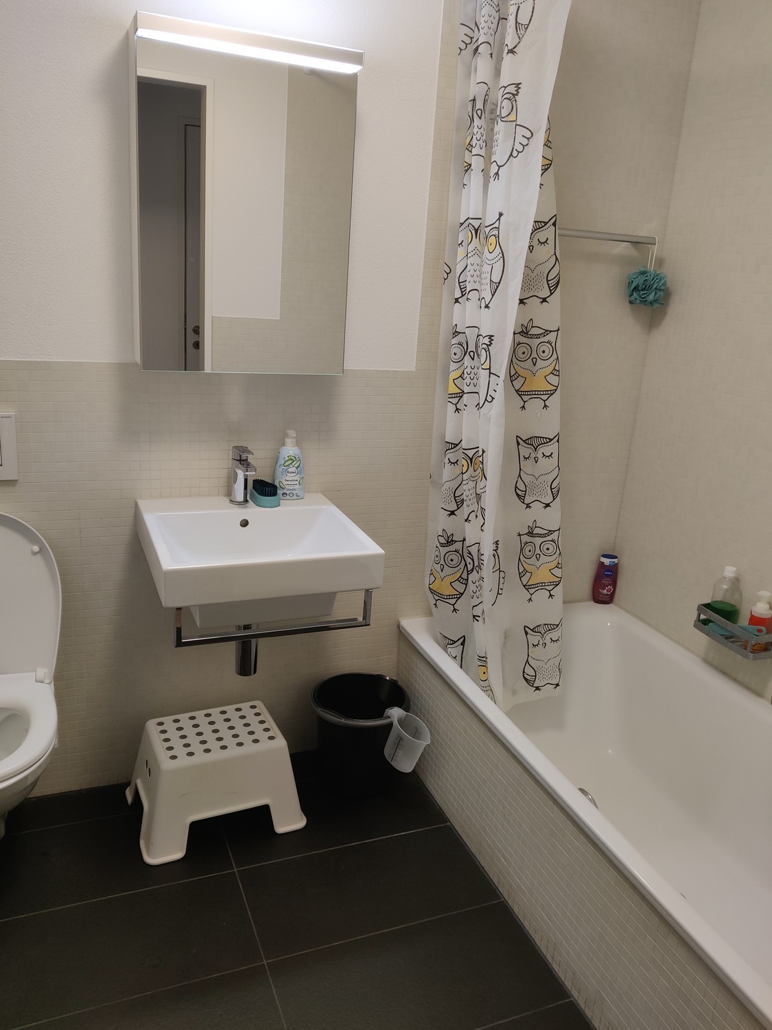Appartamento di 3 ½ locali, foto 7 di 9