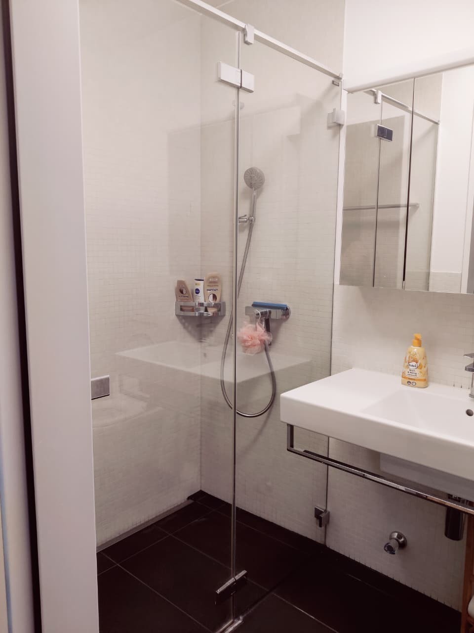 Appartamento di 3 ½ locali, foto 4 di 9