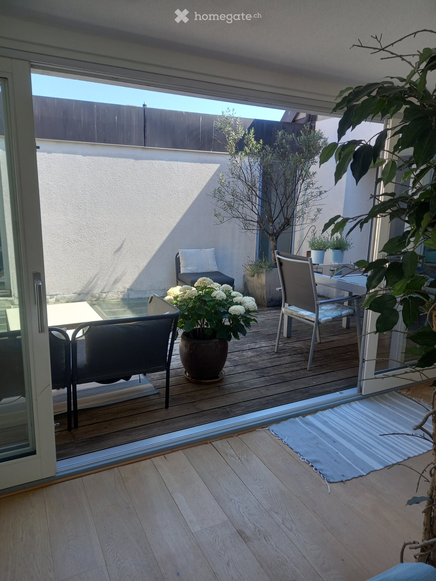 5 ½ rooms apartment