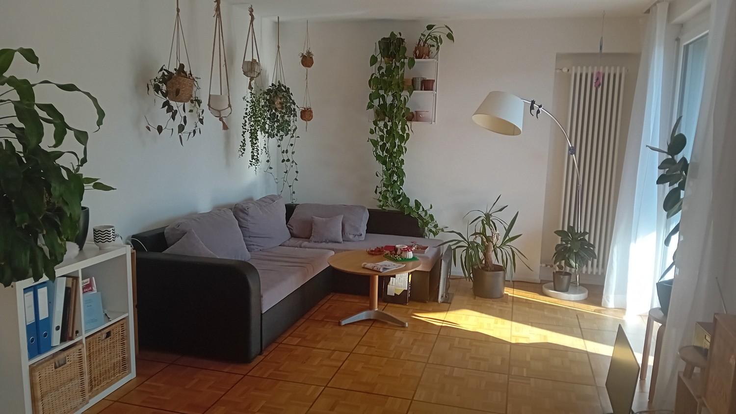 Room in a shared flat