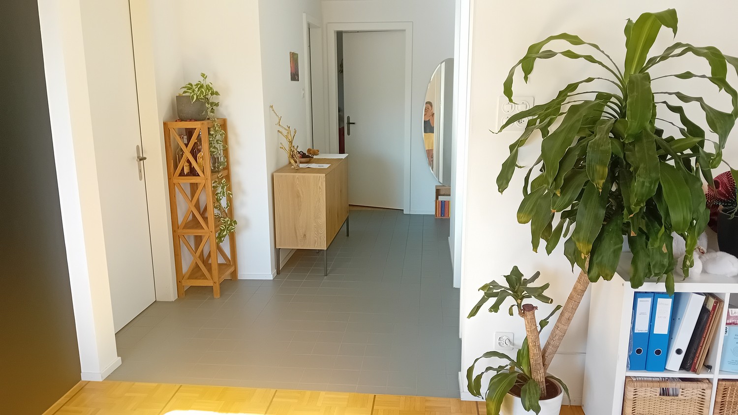Room in a shared flat