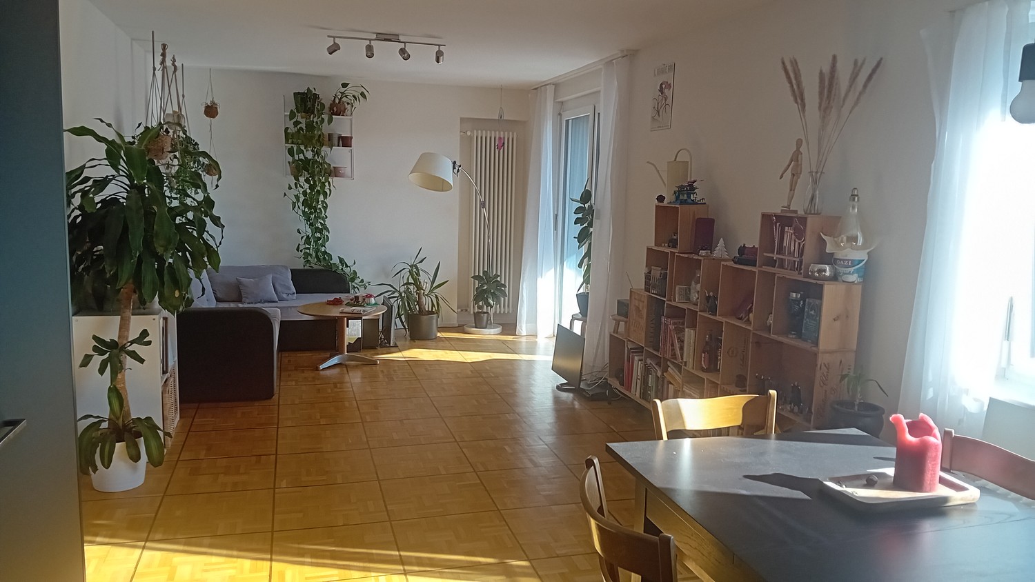 Room in a shared flat