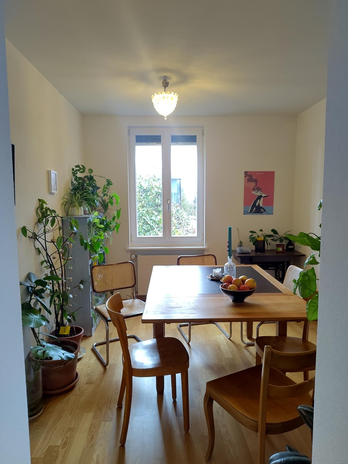 Stanza in un appartamento condiviso