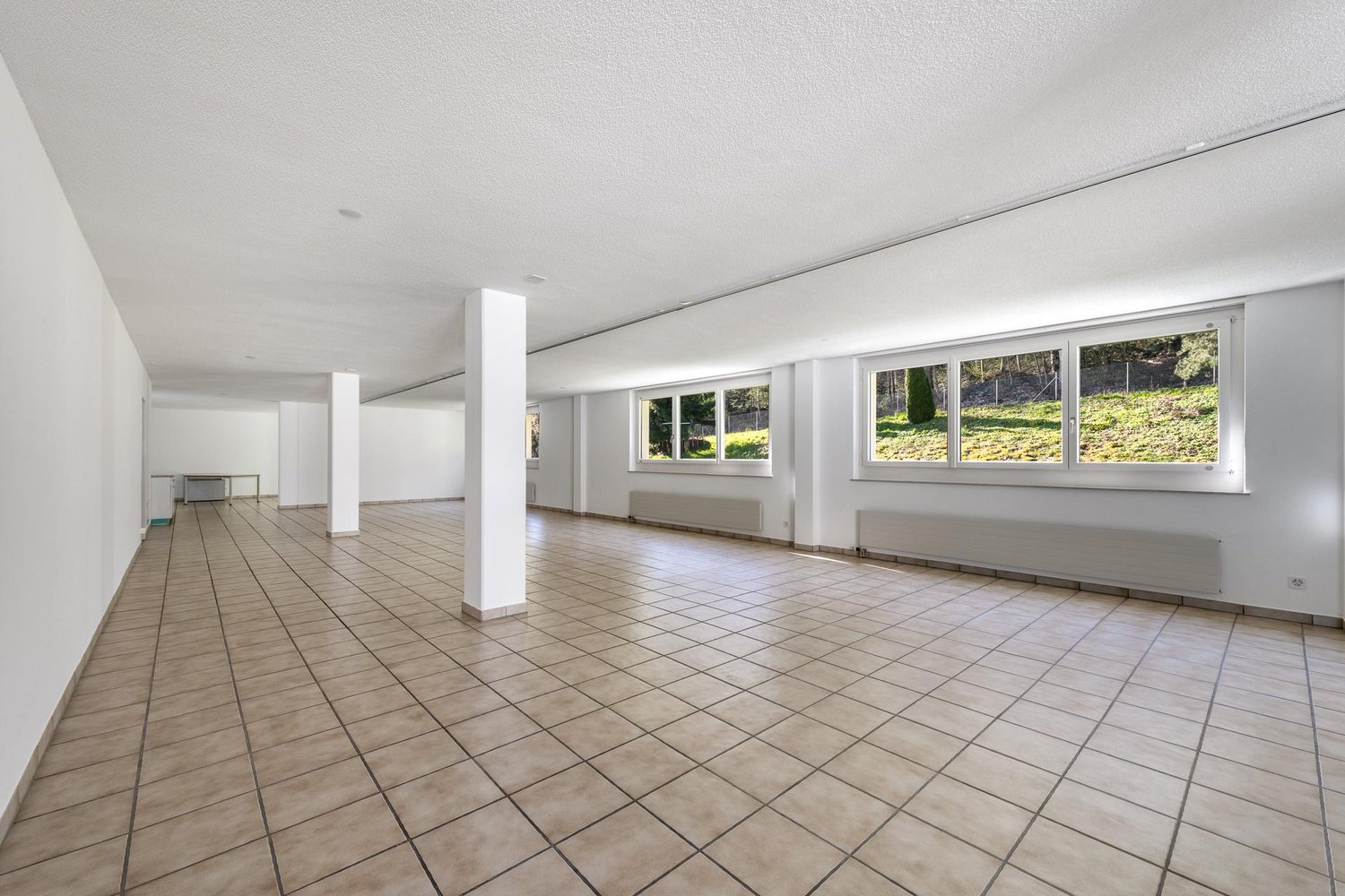 195m² commerciale