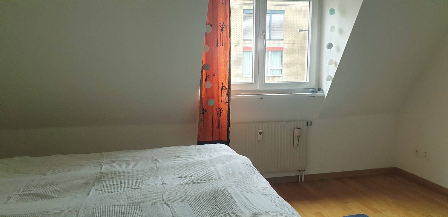 Appartamento di 2 ½ locali, foto 3 di 4