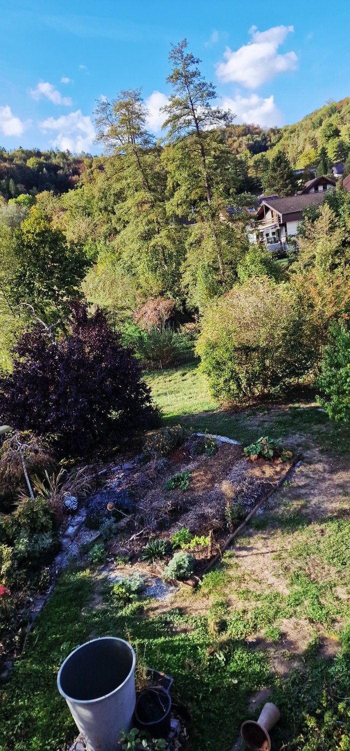 Casa singola di 2 ½ locali, foto 10 di 10