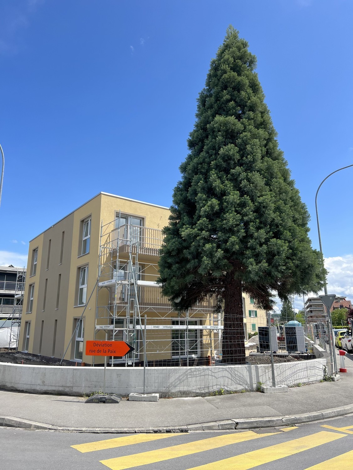 appartamento di 2 locali