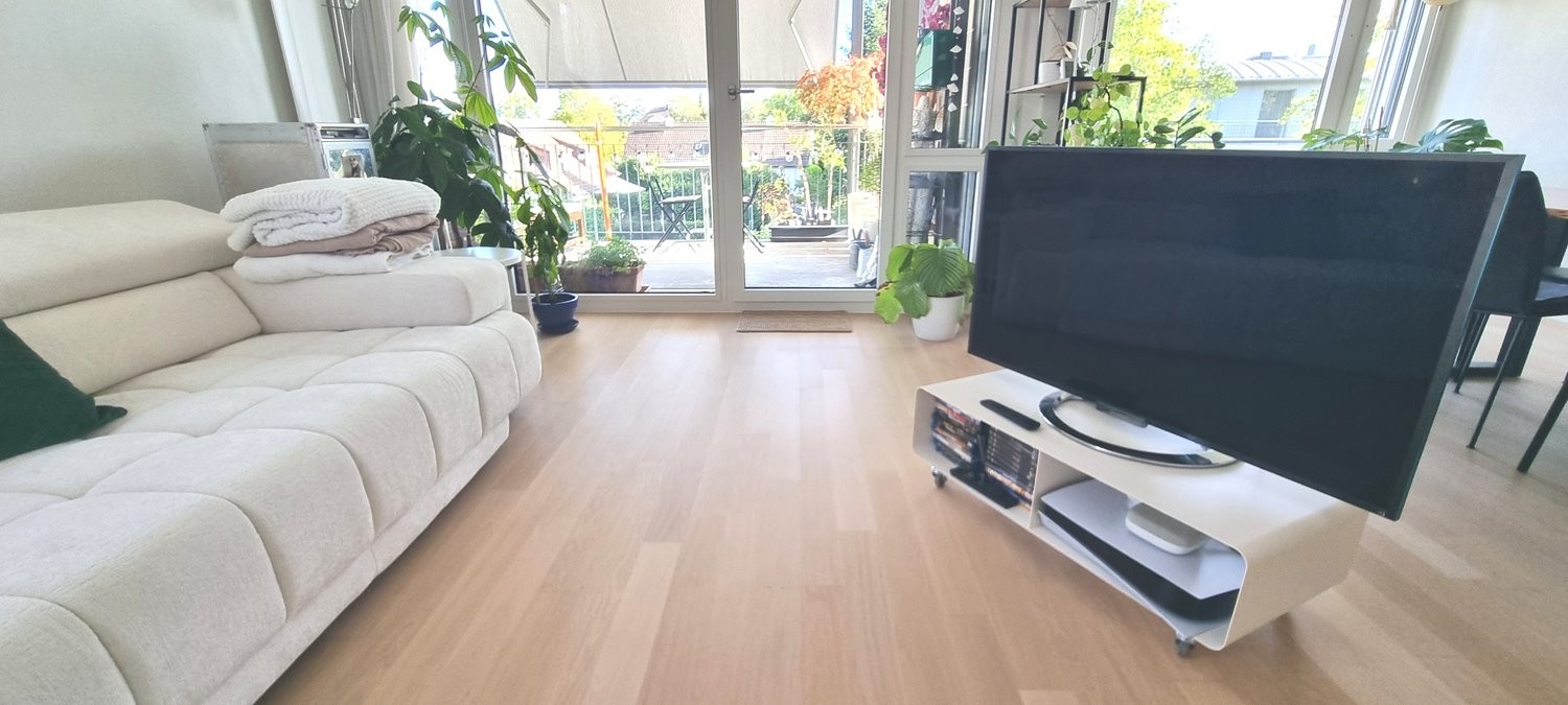 Appartamento arredato di 2 ½ locali, foto 3 di 9