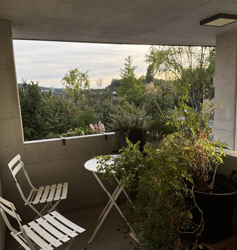 Appartamento di 2 ½ locali