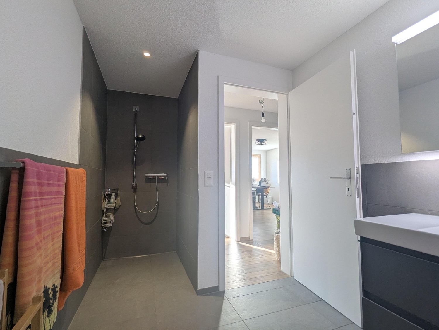 Appartamento arredato di 4 ½ locali, foto 7 di 10