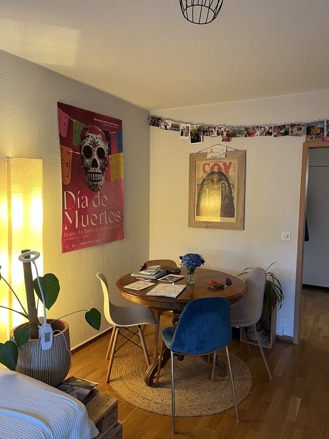 Appartamento arredato di 3 ½ locali, foto 1 di 6