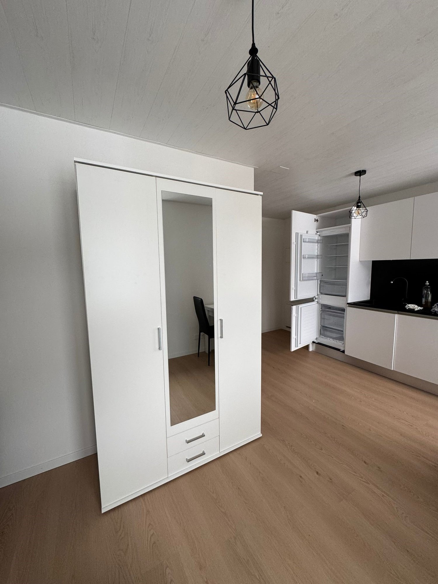 Appartamento arredato di 1 ½ locali, foto 4 di 7
