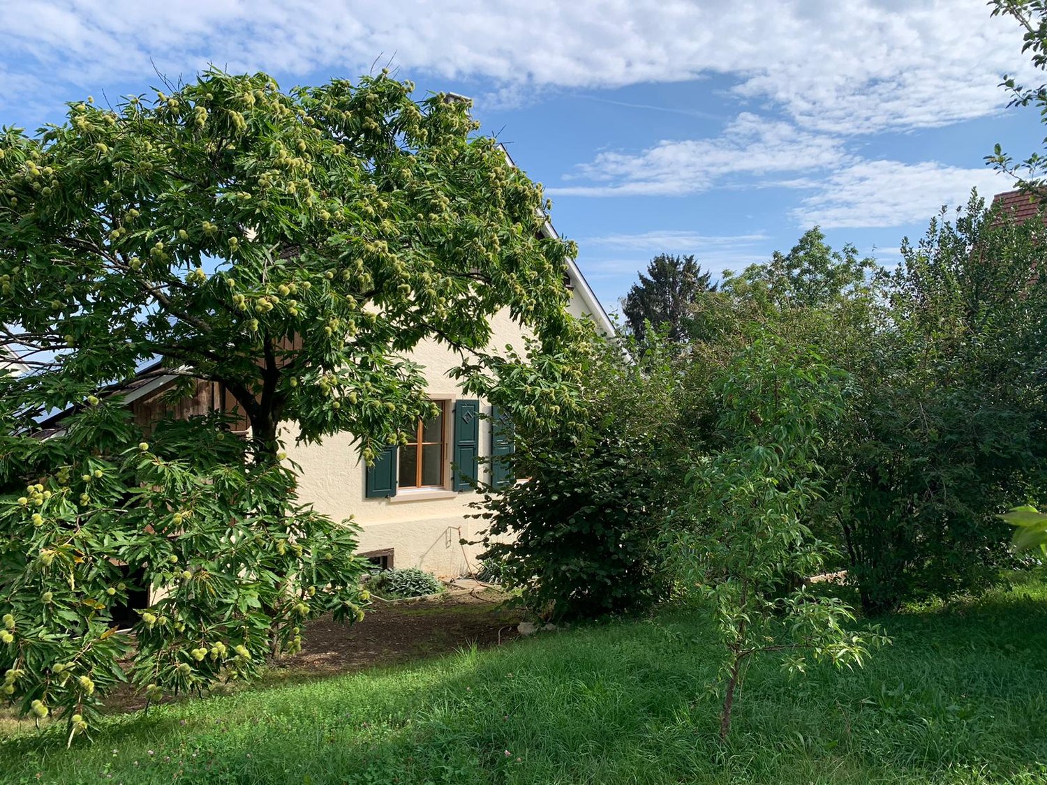 Casa singola di 5 ½ locali