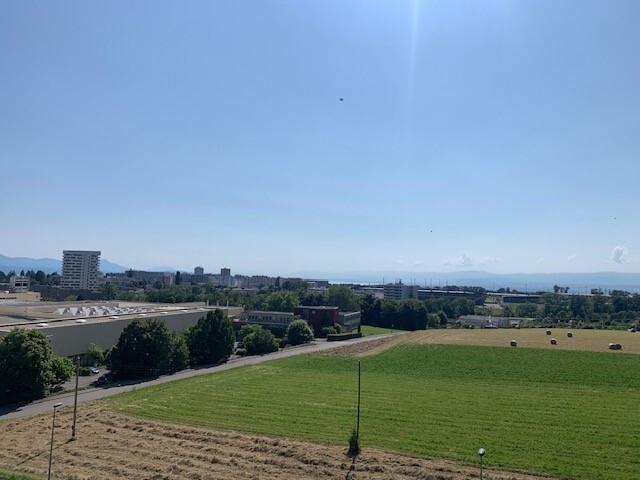 Appartamento di 2 ½ locali, foto 8 di 9