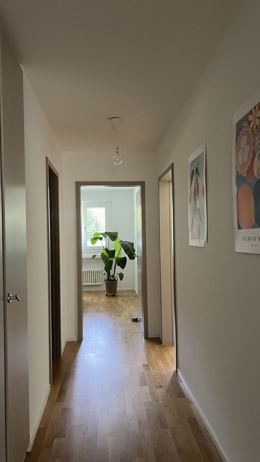4 ½ rooms apartment