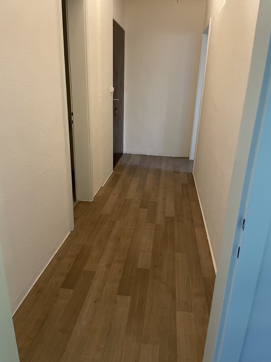 17m² commerciale