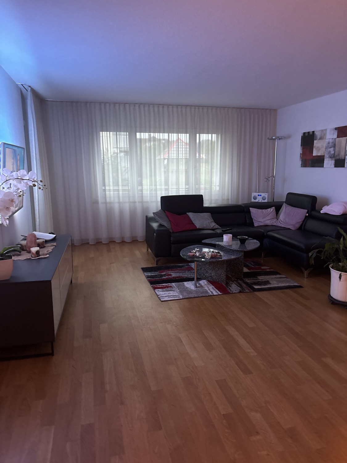 Appartamento di 2 ½ locali, foto 1 di 3