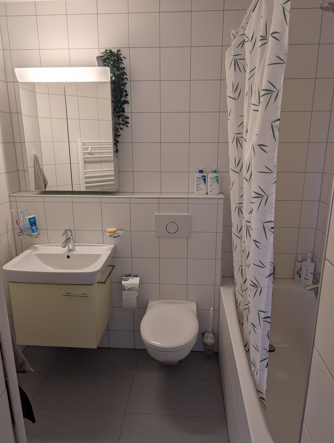 Appartamento di 2 ½ locali, foto 6 di 7