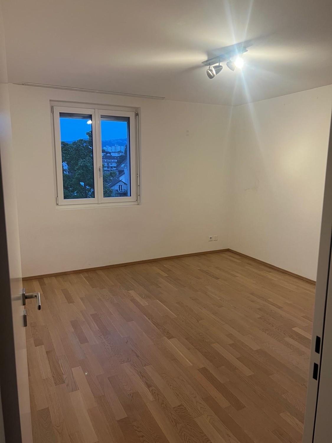 Room in a shared flat
