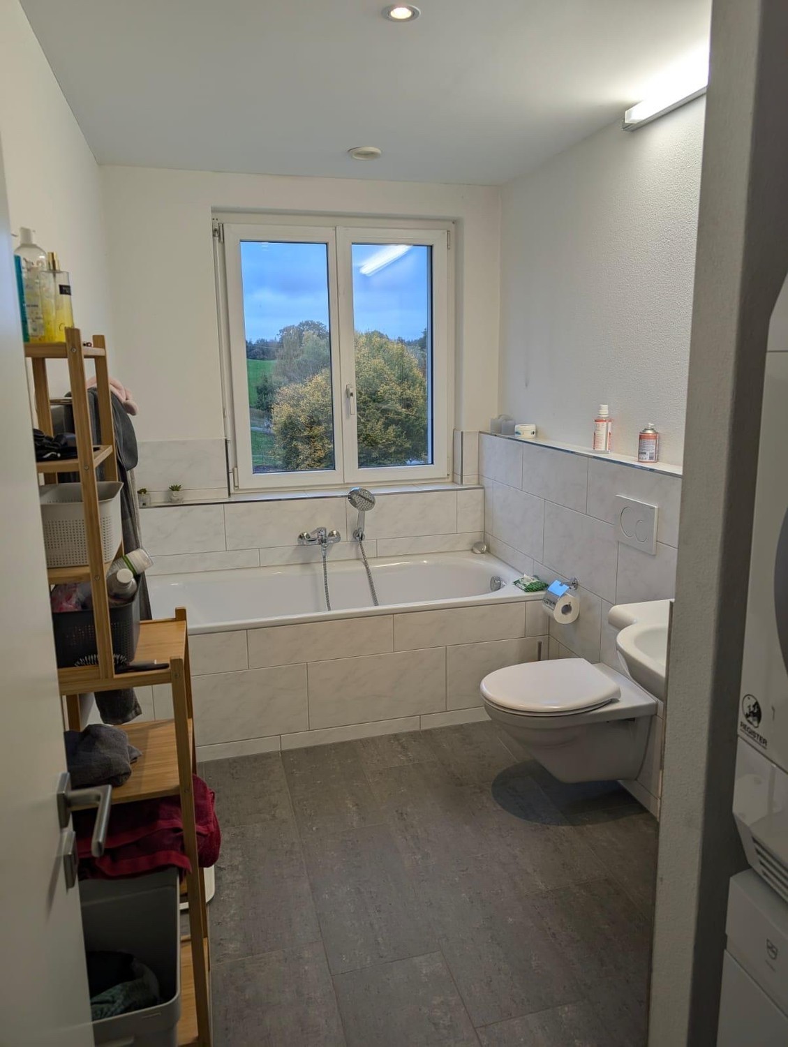Room in a shared flat