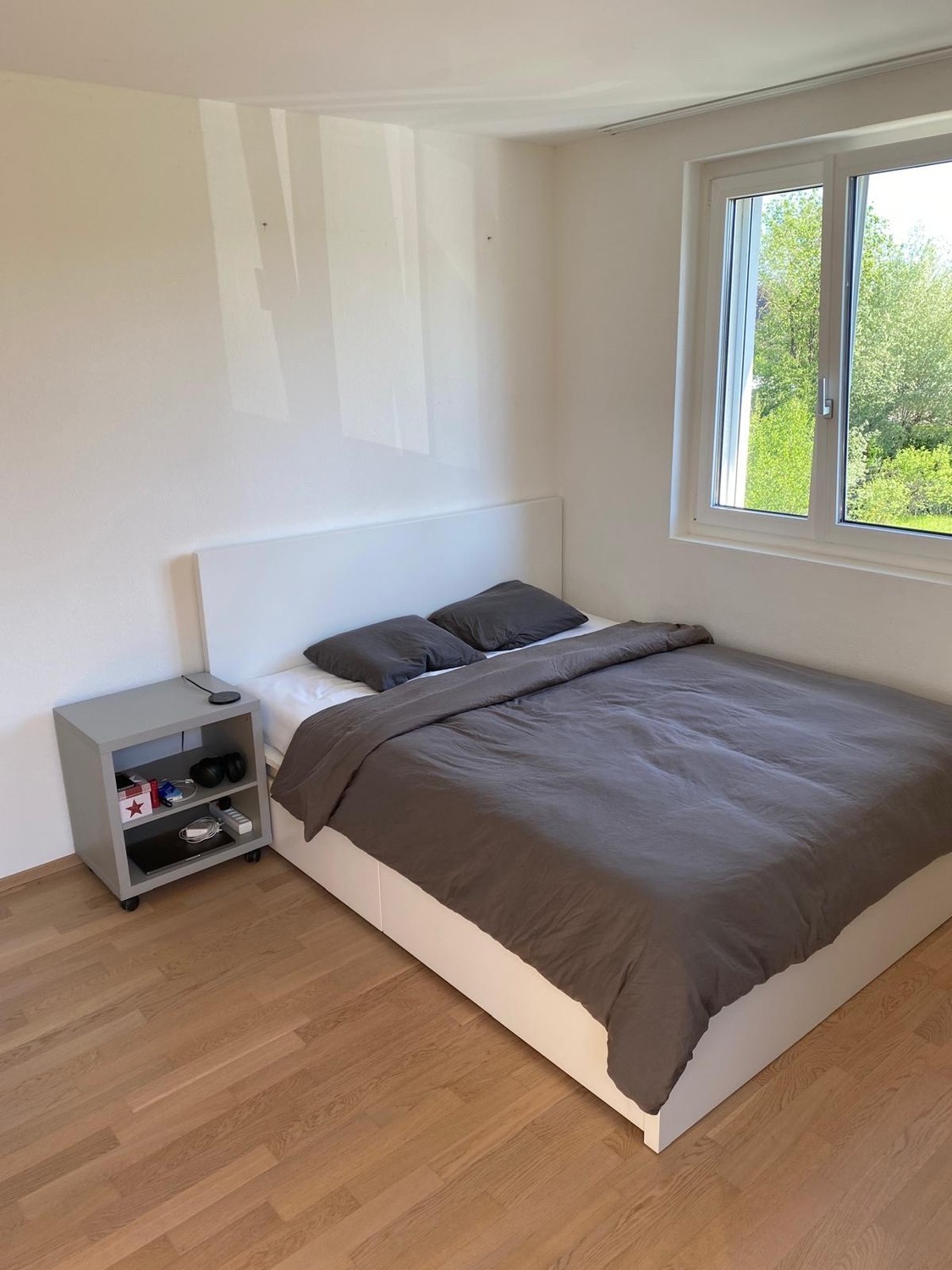 Room in a shared flat