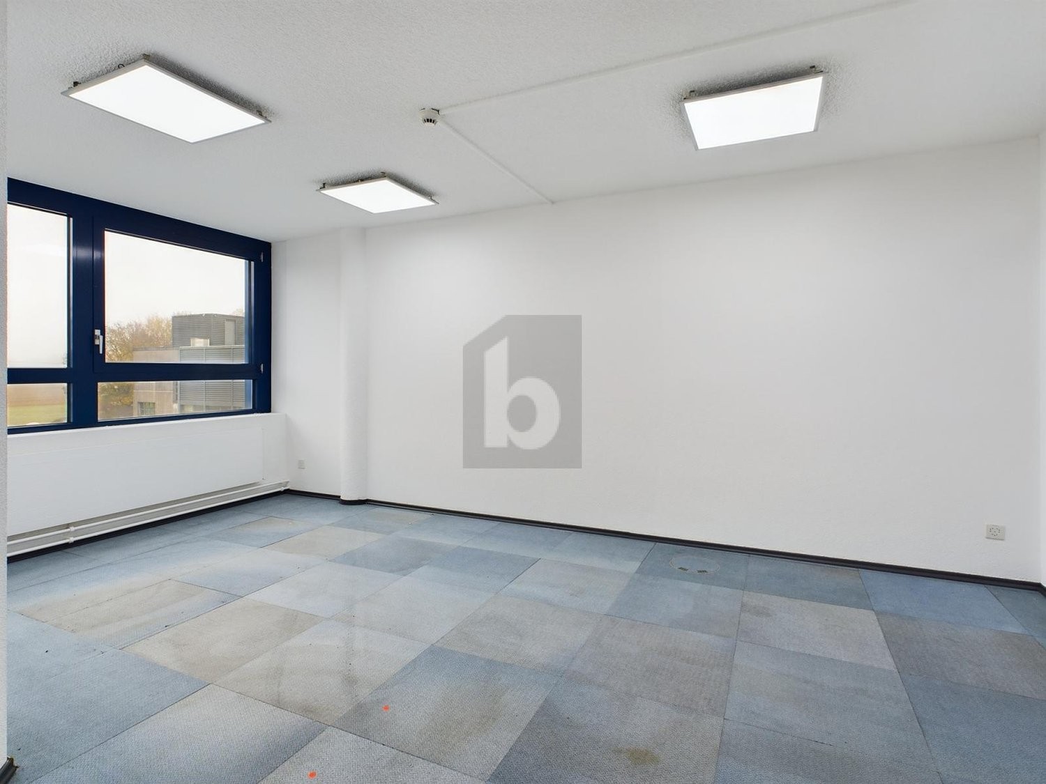 negozio di 800m²