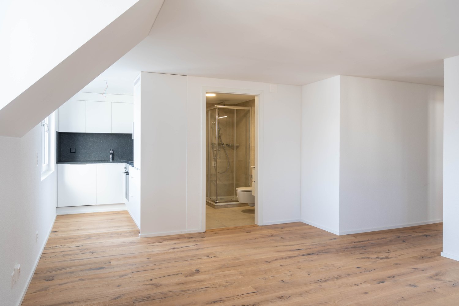 Appartamento di 3 ½ locali, foto 1 di 7