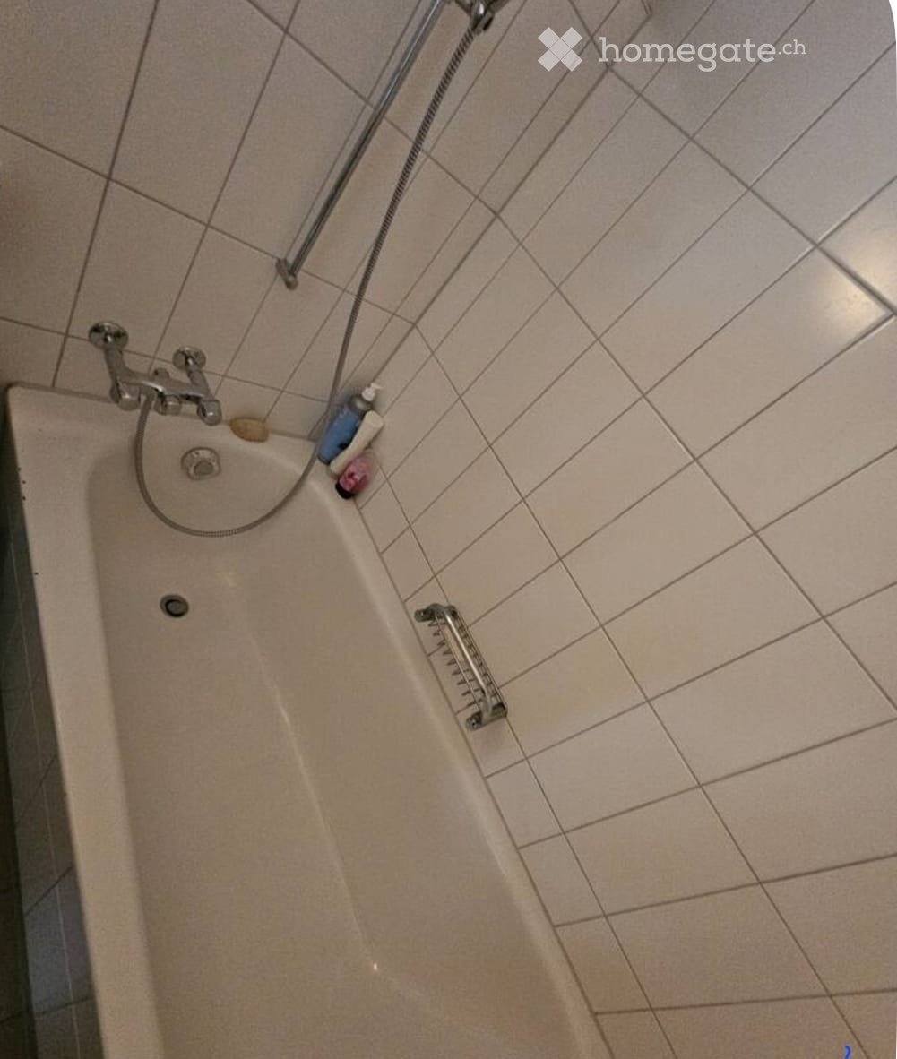 Appartamento di 2 locali, foto 1 di 4