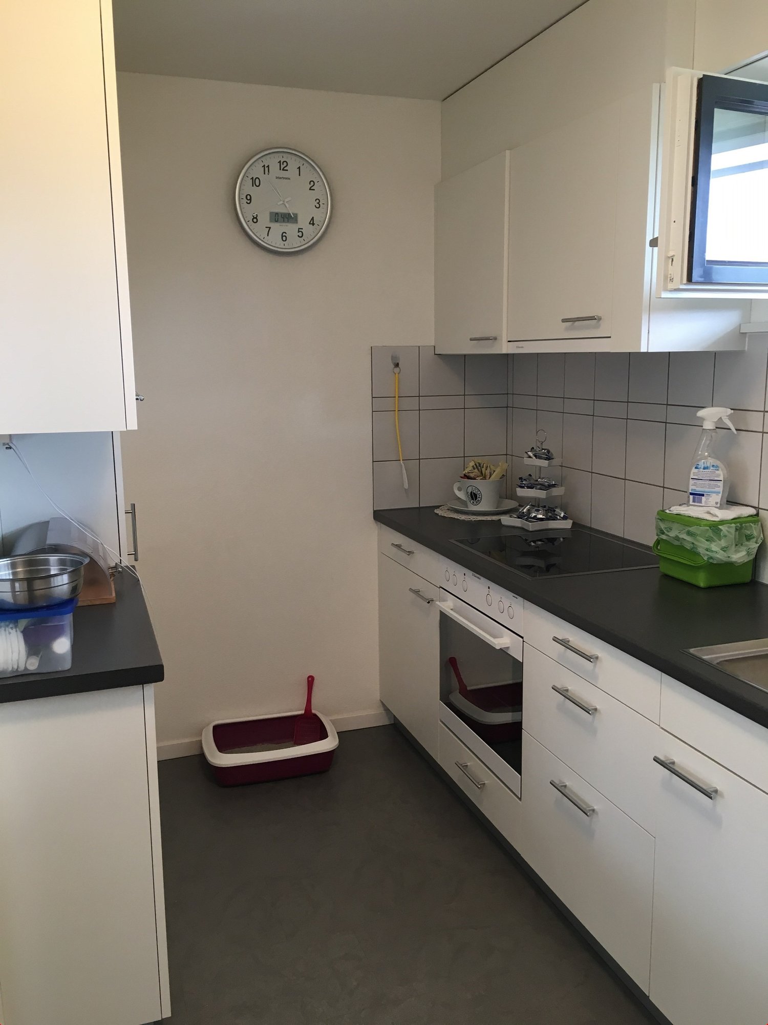 Appartamento di 3 ½ locali