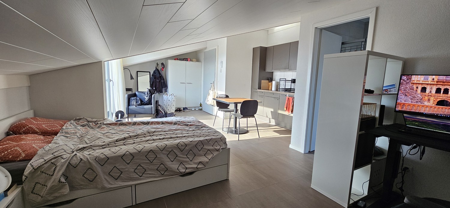 Appartamento di 2 ½ locali, foto 1 di 10