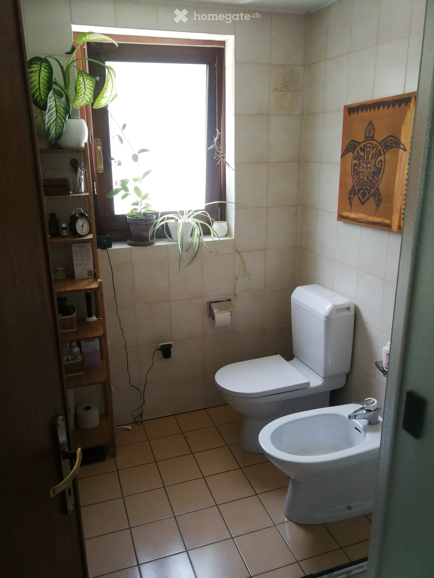 2 ½ Zimmer-Wohnung
