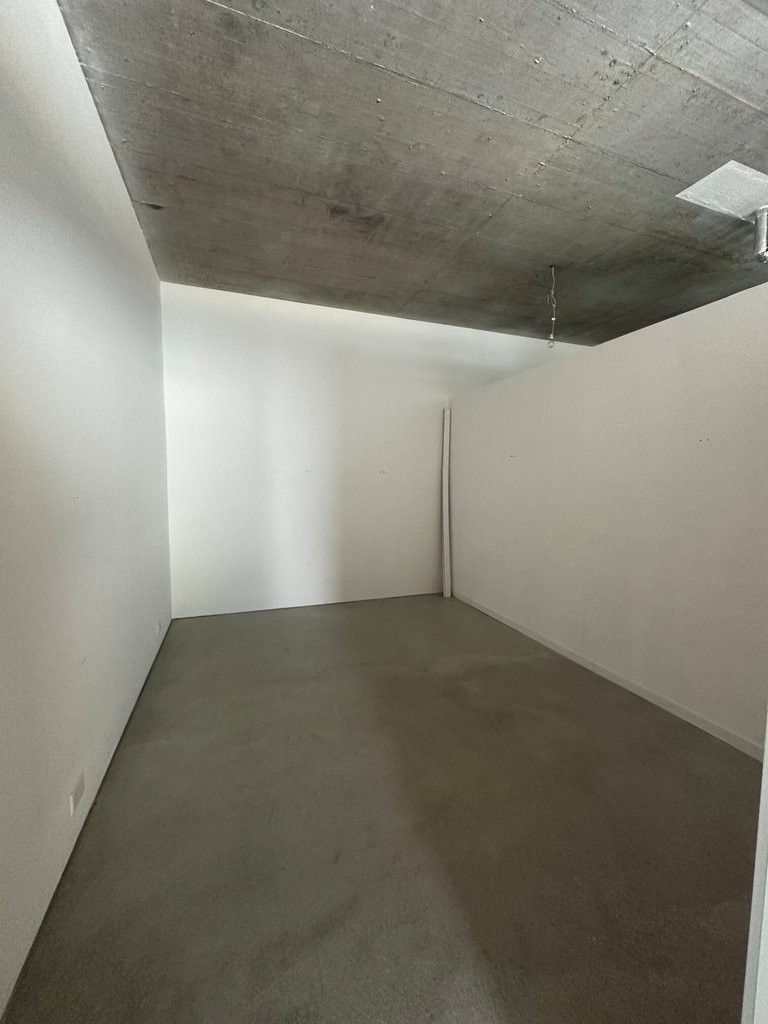 102m² commerciale