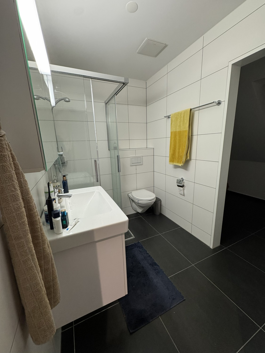 Appartamento di 2 ½ locali, foto 9 di 10